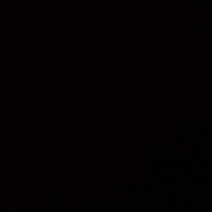 Meet your Posher, Brock